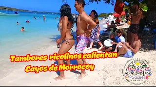 TAMBORES MASIVOS CALIENTAN LAS PLAYAS DEL PARQUE NACIONAL MORROCOY FEBRERO 2020