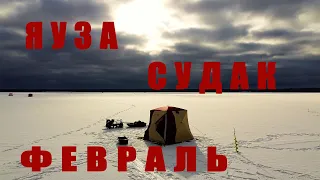 Попал на клёв СУДАКА! Ночная ловля судака на жерлицы! ТРОФЕЙ заглянул!