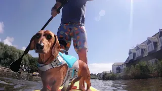 Frank’s Paddleboard Adventure