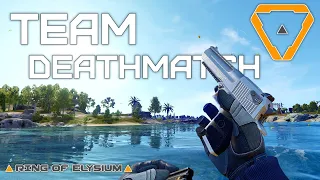 Ring of Elysium (ROE) - Team Deathmatch