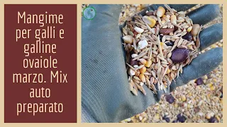 Mangime per galli e galline ovaiole marzo. Mix auto preparato