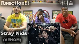 STRAY KIDS MUSIC VIDEO GROUP REACTION | VENOM 거미줄