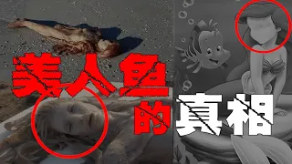 【美人鱼】最全美人鱼讲解，从神话到现实。她是信仰还是魔鬼？【郑郑得证】