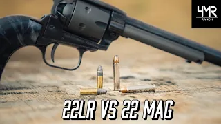 .22 Showdown | 22lr vs 22 Mag