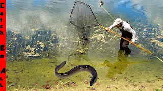 CATCHING the BLACK FISH! **BLIND Mystery GIANT of the POND**