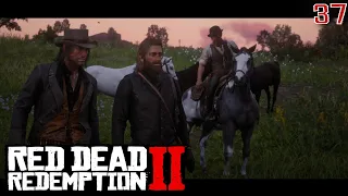 We Got Scammed  | Red Dead Redemption 2 #37