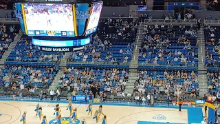 ucla dance team