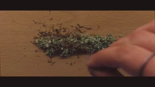 JOINT - A short film