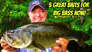 5 GREAT BAITS FOR BASS NOW! - Catching big bass across Northern Ontario