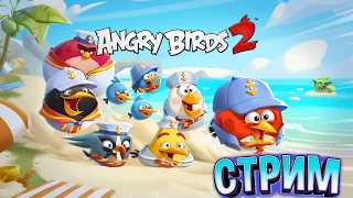 23 ★ СТРИМ ★ ШЛЯПА МОРЯКА ★ Angry Birds 2 ★ Злые птички Энгри Бердс