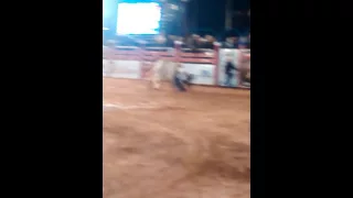 Rodeio de Piratininga noite de sábado 2016(9)