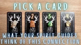 What *Your* Spirit Guides Think of This Connection😇✨Reading with @KinoTarot | PICK A CARD🔮