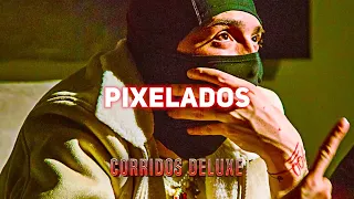 Peso Pluma - Pixelados // CORRIDOS 2024