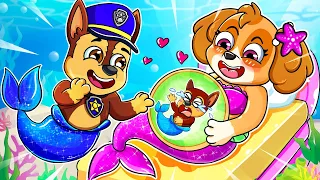 Skye MERMAID Pregnant?! What Happened?! - Very Sad Story - Paw Patrol Ultimate Rescue - Rainbow 3