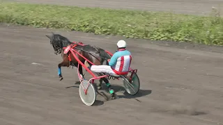 27.07.2019 г.  Приз Гибрида