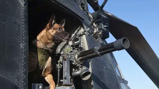 MWD Benno Fundraising Campaign