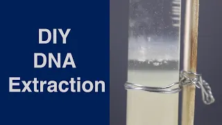 DIY DNA Extraction | ThinkTac | DIY Science