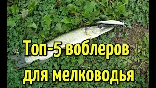 Топ 5 лучших воблеров для ловли хищника щуки, окуня, судака на мелководье