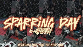 Sparring Day GRIZZLY Gym