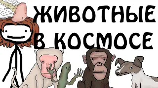 "Животные в космосе" - Академия Сэма О'Нэллы (Русская Озвучка Broccoli)