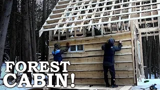 Small Cabin Tour! | Live Edge Siding Cut from Trees, Window Framing | Cabin in the Woods Build Ep7