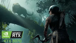 Shadow of the Tomb Raider : RTX 3070 w/ Ryzen 5 5600x (1080p High Settings)