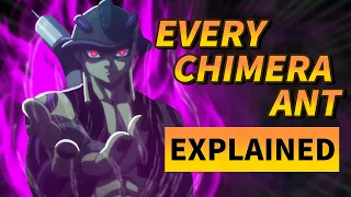 Every Types of Chimera Ant Explained in 12 Minutes | Hunter x Hunter