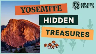 Explore Yosemite Hidden Gems!