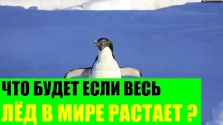 Что будет если весь лёд в Мире растает?