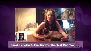 World's Shortest Cat Cye Interview for 2014 Edmonton Cat Fest