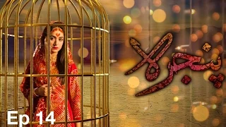 Pinjra Episode 14 Full Hd