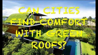 Cities Need More Green Roofs