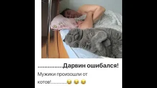 Прикольные и смешные анекдоты 2