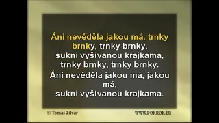 Trnky, brnky - Slunce seno jahody, DEMO, ukázka Karaoke, instrumental z www.svetkaraoke.cz