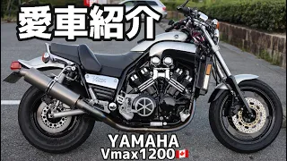22年前のバイク。自分の愛車紹介！YAMAHA Vmax1200 実は4台目‼︎　高画質【広島のVmax乗り】