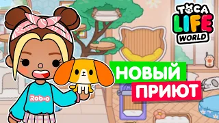 НОВЫЙ ПРИЮТ ДЛЯ ЖИВОТНЫХ в Тока Бока 🐩 Обновление Toca Life world