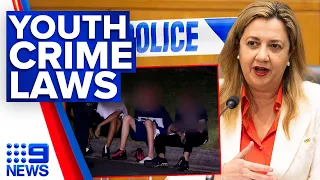 Queensland government slammed for not doing enough to tackle youth crime | 9 News Australia