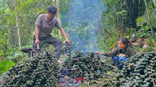 Harvesting Arenga Pinnata together to sell. The difficult journey of KONG & NHAT