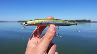 Fishing Big lures for Giant Fish!?!