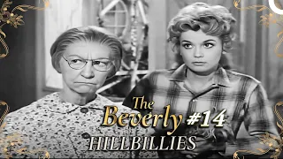 The Beverly Hillbillies - Special Part 14 | Classic Hollywood TV Series