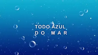 FLÁVIO VENTURINI / TODO AZUL DO MAR / LETRA / LEGENDA