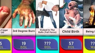 Comparison: most painful experiences in the world