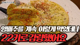 양배추를 이렇게 요리해서 드셔보세요. 살도 빠지고 너무 맛있어요!(feat.오꼬노미야끼) || 양배추오믈렛 ||  Cabbage omelet || 고기보다 || 다이어트요리 ||