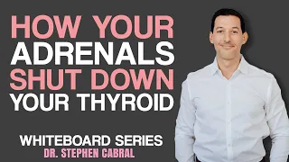 How STRESS Shuts Down Your THYROID | Dr. Stephen Cabral