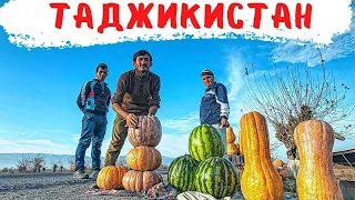 Душанбе. Курган Тюбе. Лучшая чайхана! Таджикский плов!