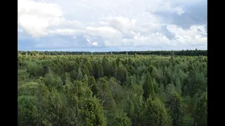 Trijų seselių jauną brolelį - Toma Grašytė-Jegelevičienė