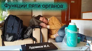 Функции пяти органов. Худовеков М.А.