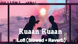 Ruaan Song Lofi (Slowed + Reverb) Version || Arijit Singh || Tiger 3 || Salman Khan & Katrina Kaif
