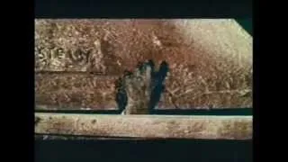 Frankenstein's Bloody Terror (1968) - Trailer