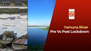 These Before And After Lockdown Images of River Yamuna Will Shock You | NewsMo